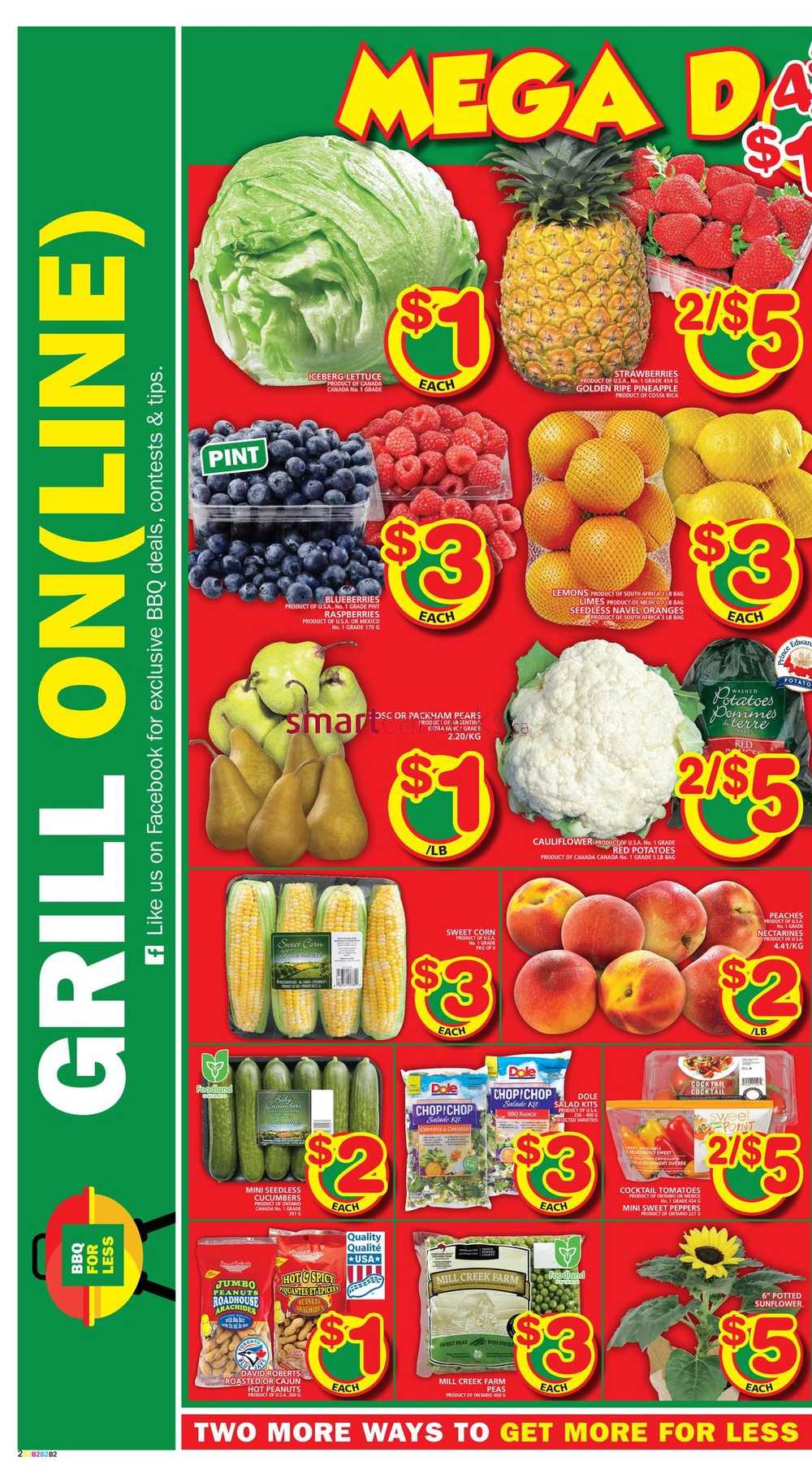 Food Basics Flyer July 5 To 11