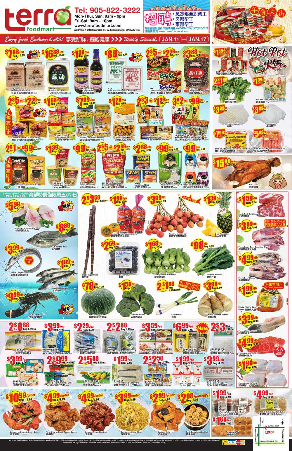Terra Foodmart Flyer January 11 to 17