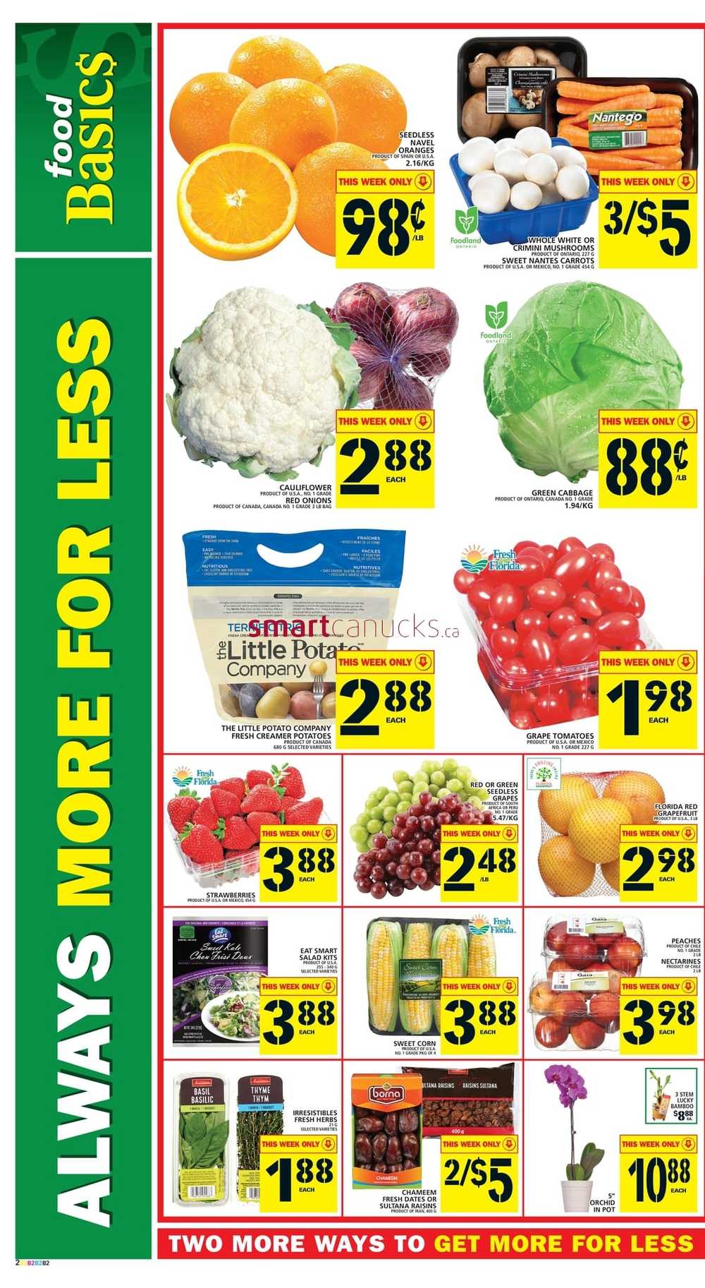 Food Basics (Hamilton Region) Flyer January 24 to 30