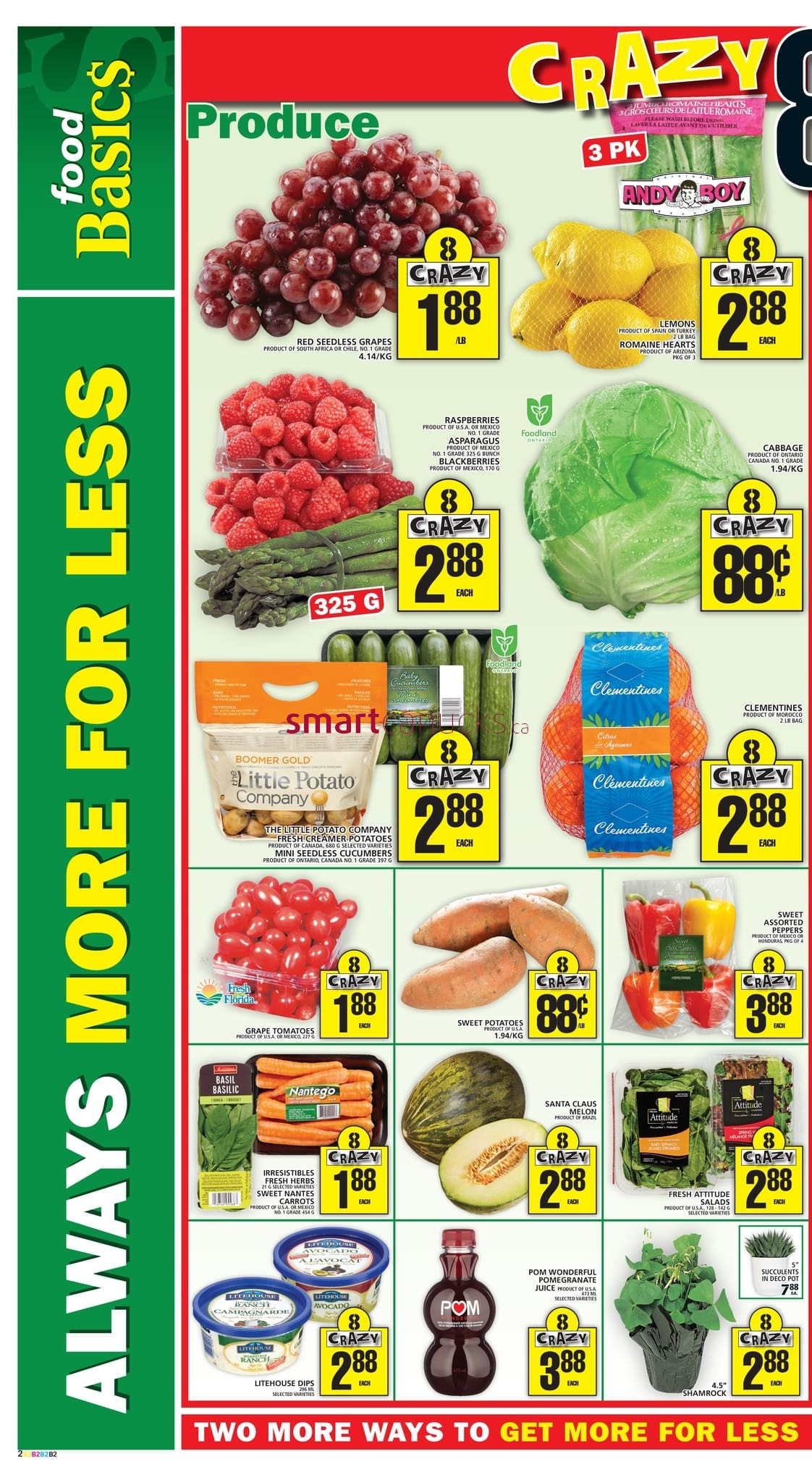 Food Basics (Hamilton Region) Flyer February 28 to March 6