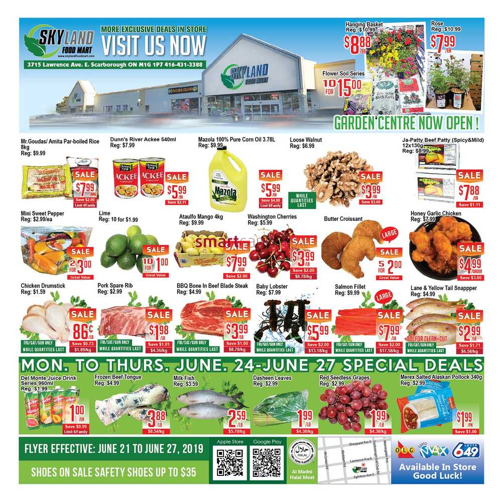 Skyland Food Mart Flyer June 21 to 27