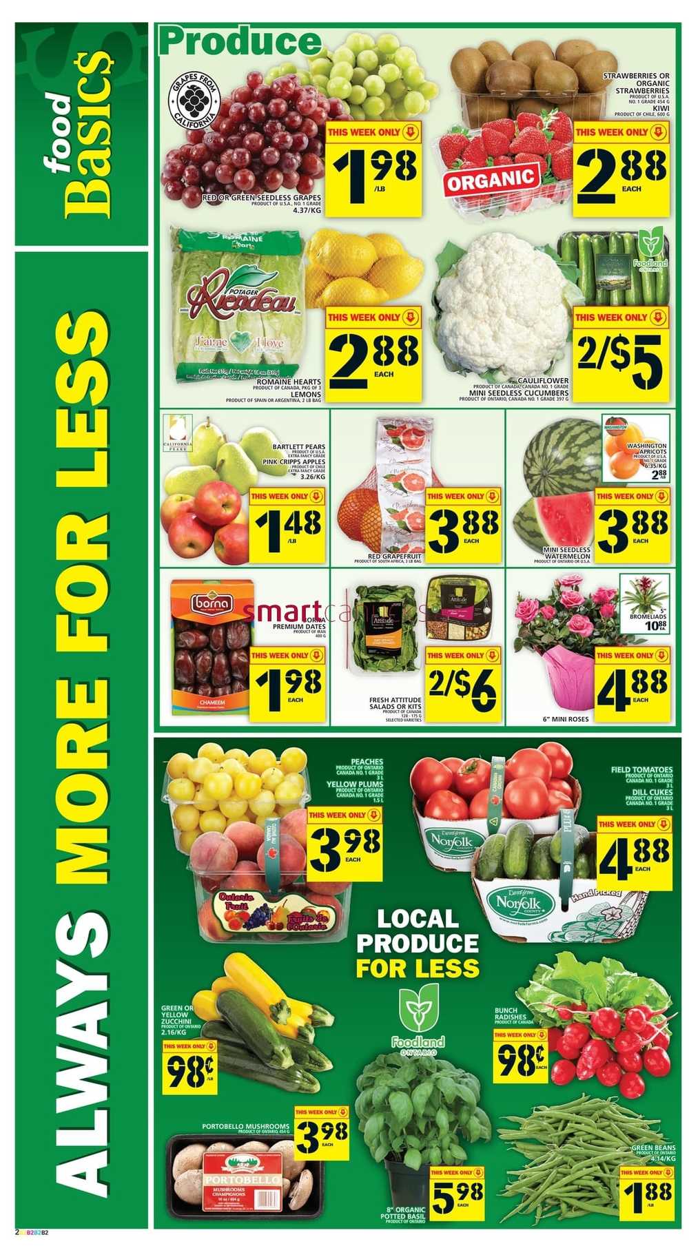 Food Basics (Hamilton Region) Flyer August 8 to 14