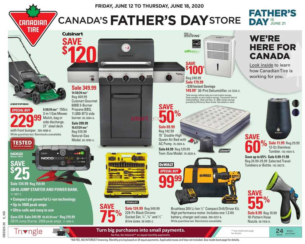 Canadian Tire (ON) Flyer June 12 to 18