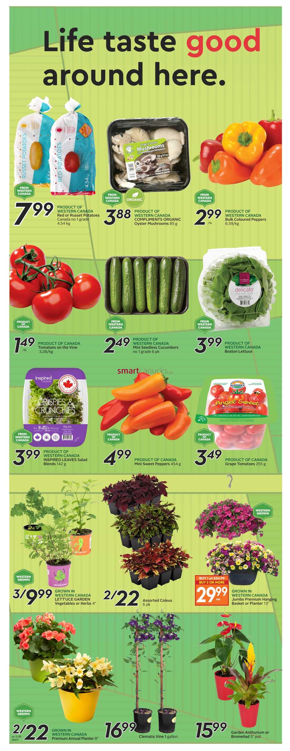 Sobeys/Safeway (AB) Flyer May 19 to 25