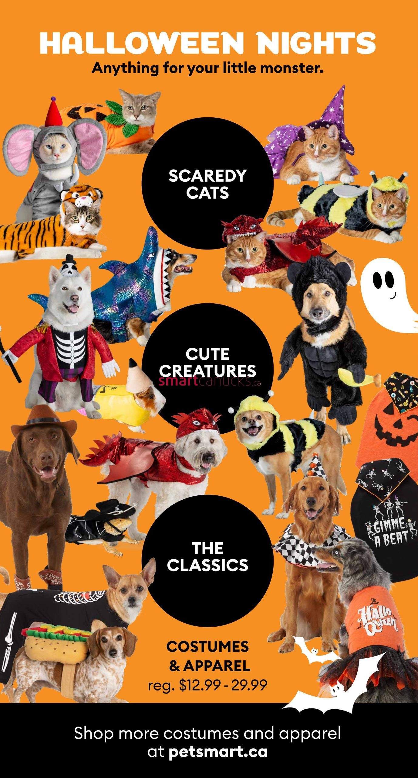 PetSmart Halloween Look Book August 29 to October 31