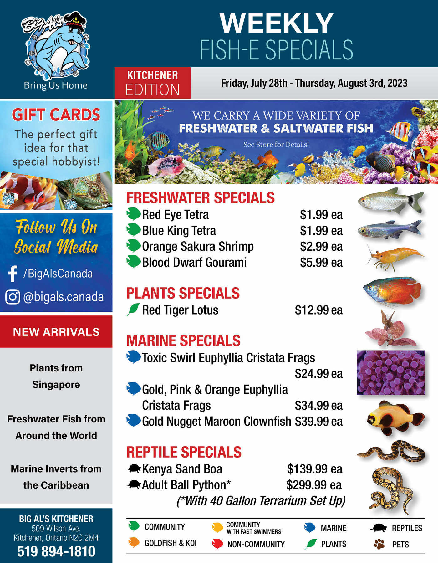 Big Al's (Kitchener) Weekly Specials July 28 to August 3