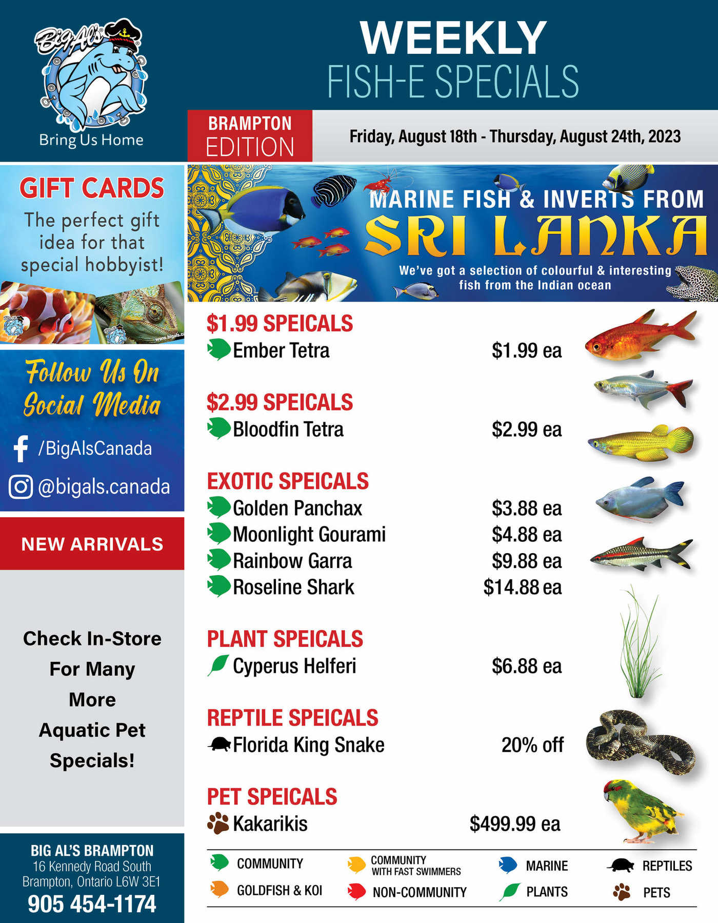 Big Al's (Brampton) Weekly Specials August 18 to 24