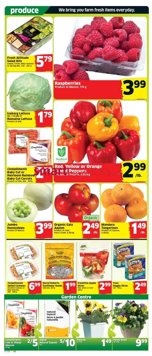 Foodland (ON) flyer April 25 to May 1