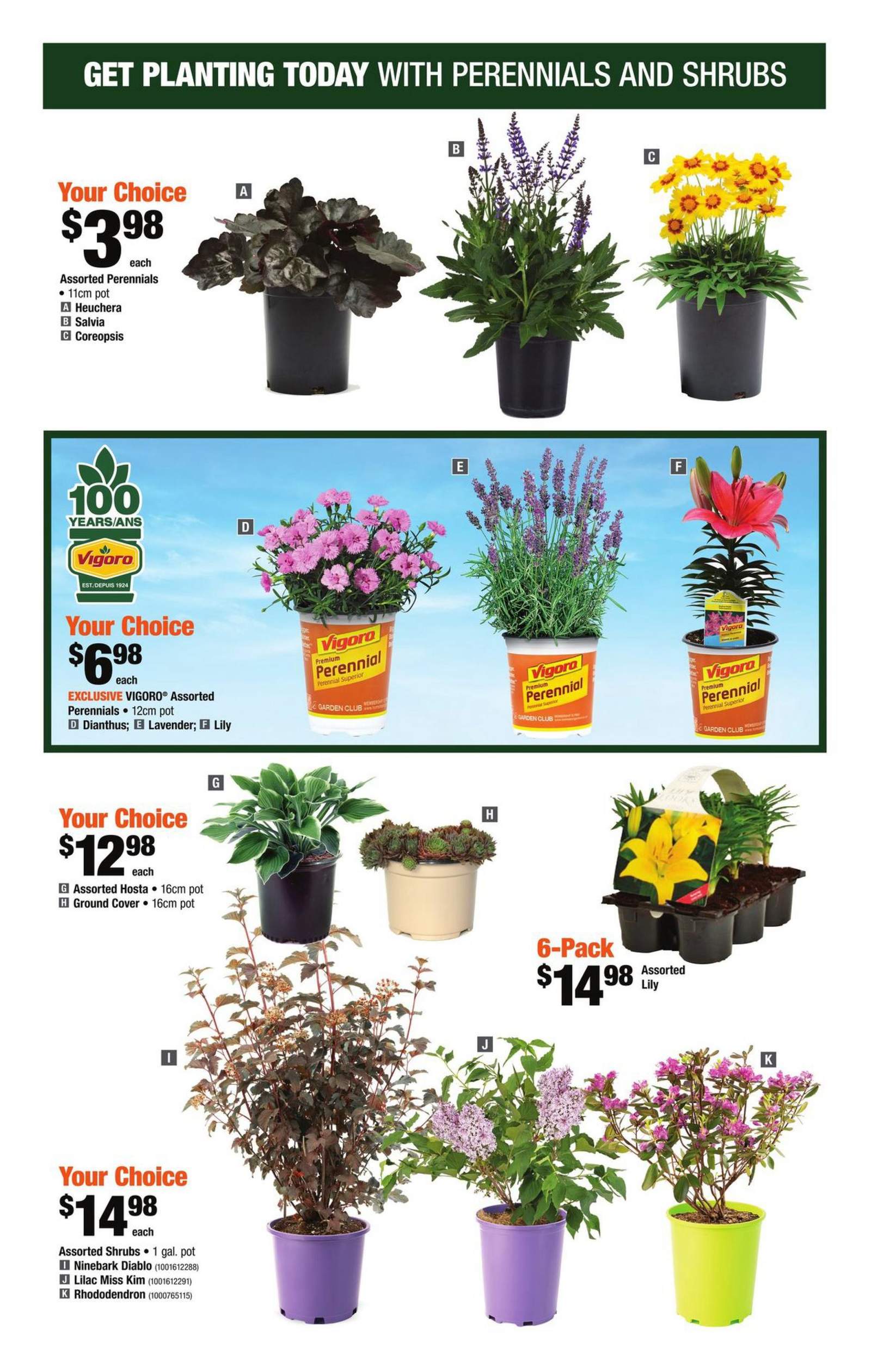 Home Depot (ON) Flyer May 2 to 8