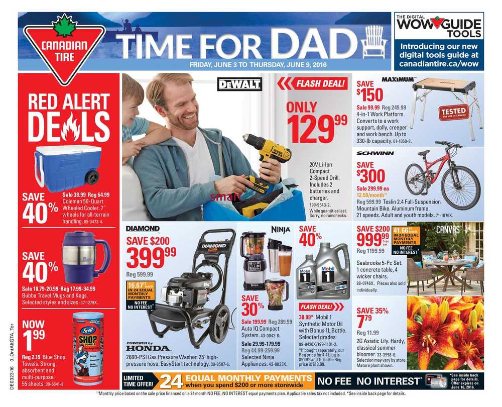 Canadian Tire (ON) Flyer June 3 to 9