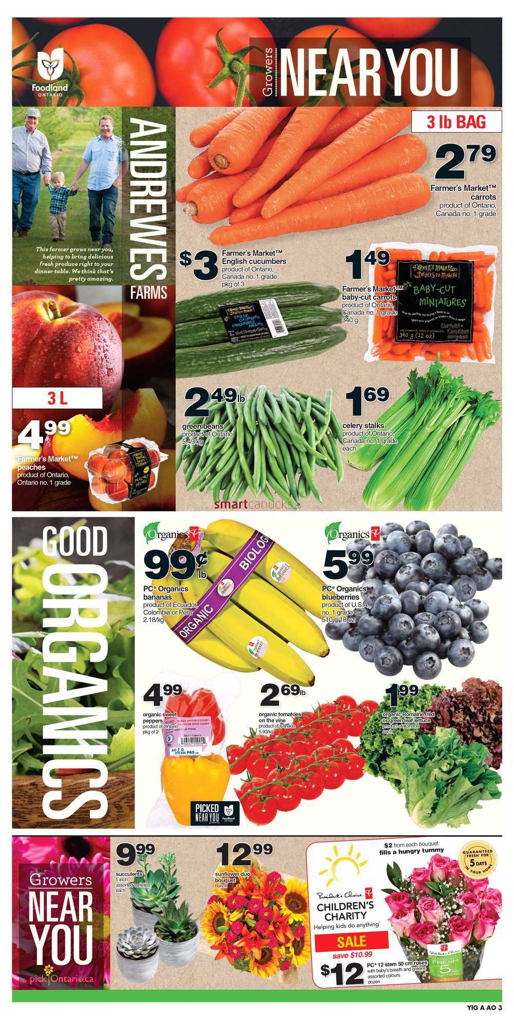 Independent Grocer (Ottawa Region) Flyer July 29 to August 4