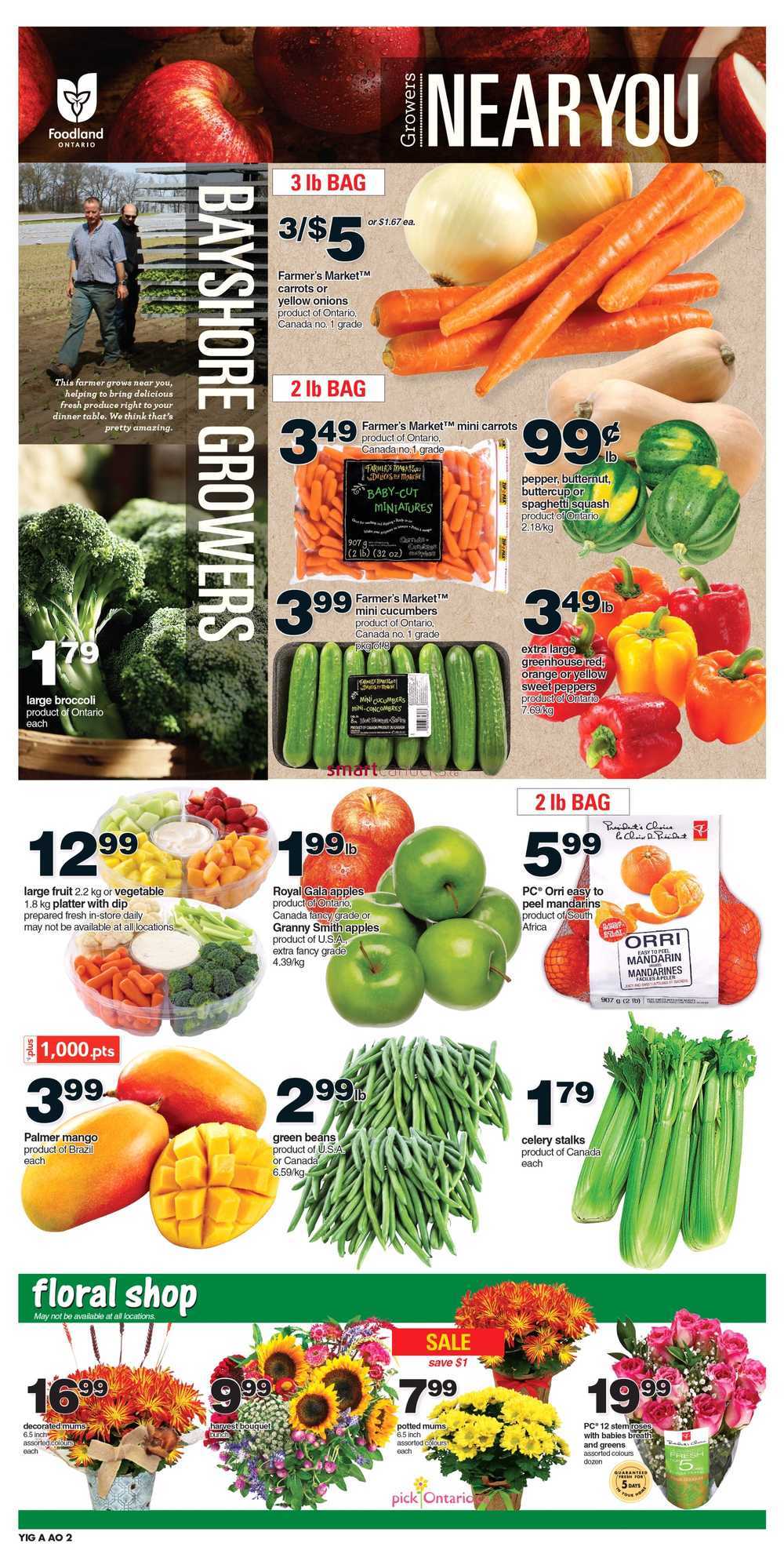 independent-grocer-ottawa-region-flyer-october-7-to-13