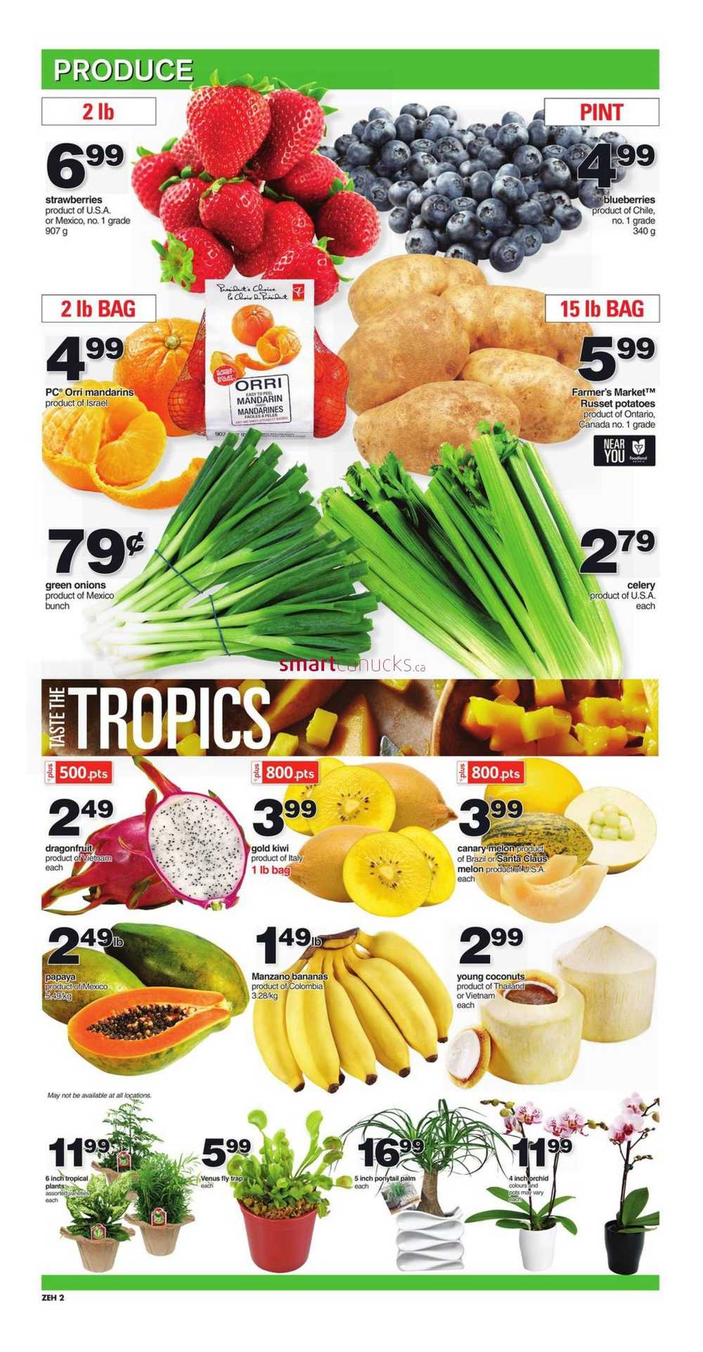 Zehrs Flyer February 23 to March 1