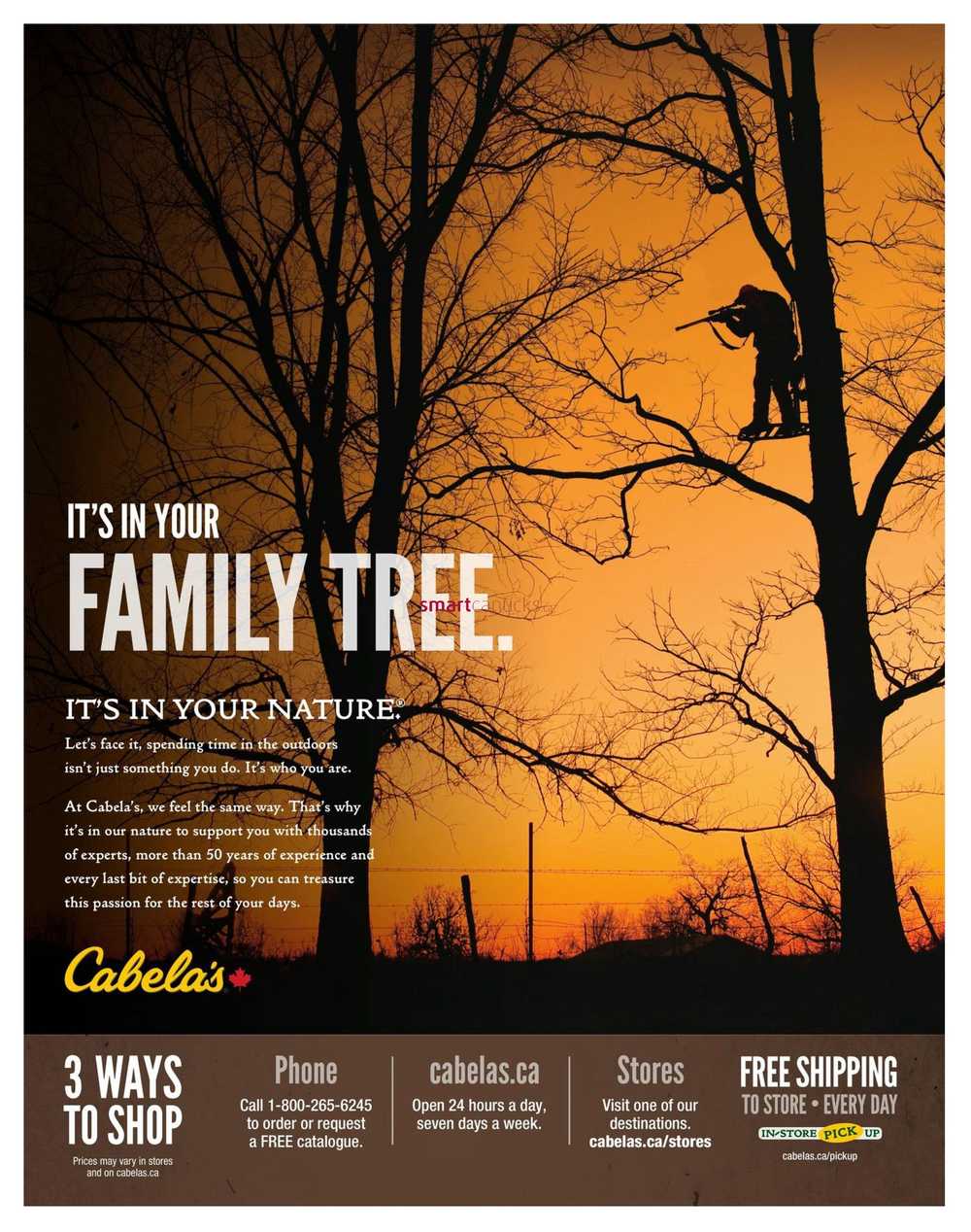 Cabela's Fall Catalogue August 9 to December 31